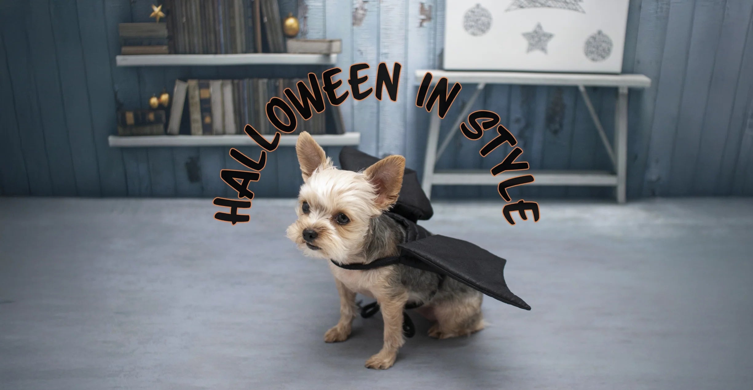 Pet Costumes